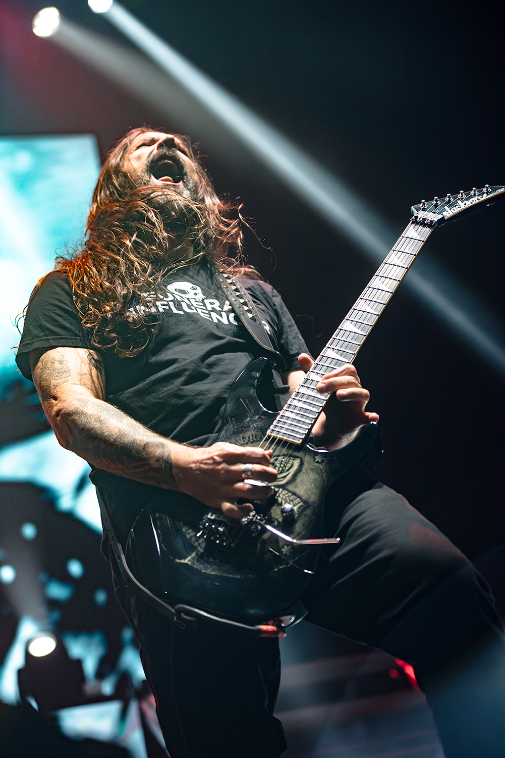 Sepultura - Celebrating Life Through Death